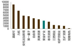 紫金矿业研究小记 金业龙头，铜业老二