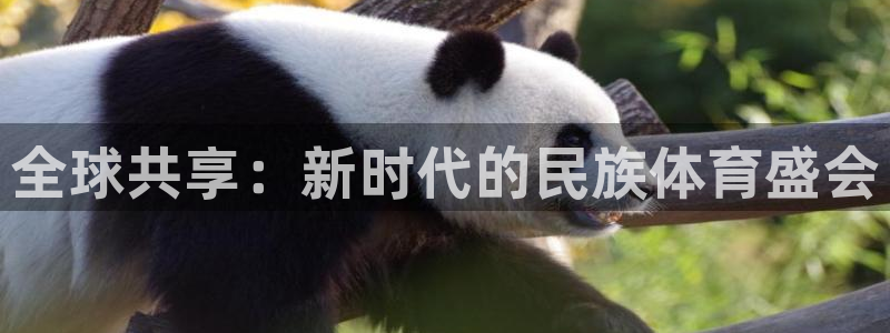 必发官网下载招商电话地址:全球共享:新时代的民族体育盛会