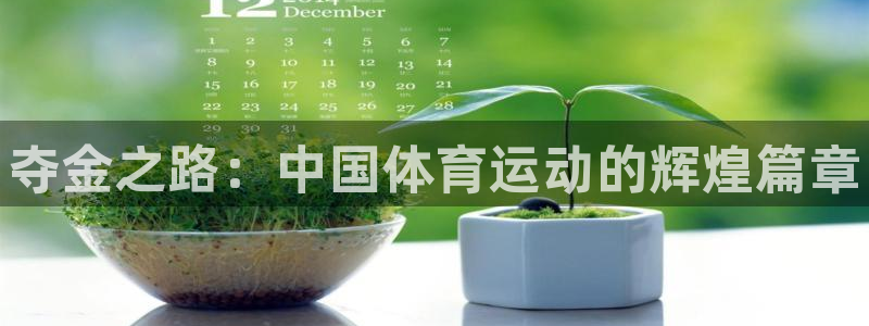 必发官网下载招商电话号码查询:夺金之路:中国体育运动的辉煌篇