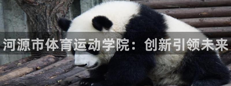 必发官网下载平台注册流程视频:河源市体育运动学院:创新引领未