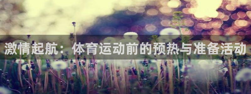 必发官方正版app娱乐网站:激情起航:体育运动前的预热与准备