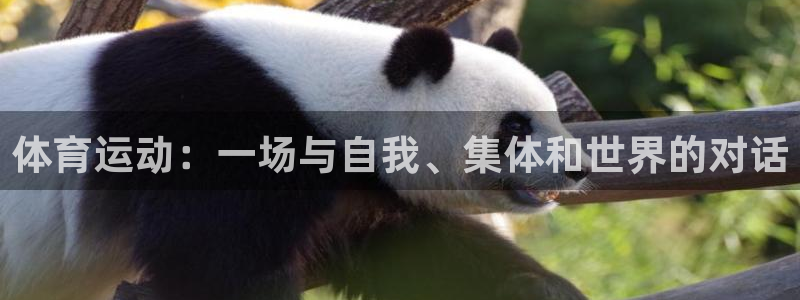 必发官网下载平台是正规平台吗知乎:体育运动:一场与自我、集体