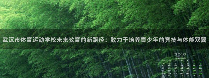 必发官网下载招商电话地址:武汉市体育运动学校未来教育的新路径